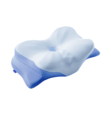 1 Derila Ergo Pillow