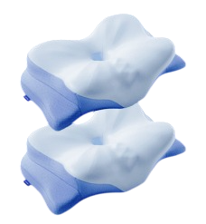 2 Derila Ergo Pillows